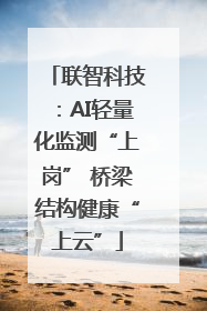 联智科技：AI轻量化监测“上岗” 桥梁结构健康“上云”