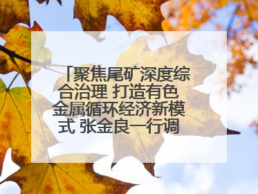 聚焦尾矿深度综合治理 打造有色金属循环经济新模式 张金良一行调研栾川县尾矿库综合治理工作