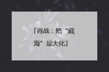肖战：把“藏海”最大化