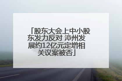 股东大会上中小股东发力反对 漳州发展约12亿元定增相关议案被否