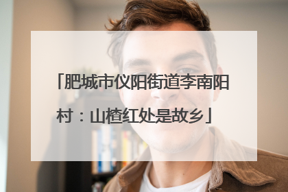 肥城市仪阳街道李南阳村：山楂红处是故乡