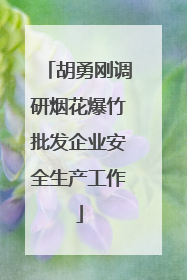 胡勇刚调研烟花爆竹批发企业安全生产工作