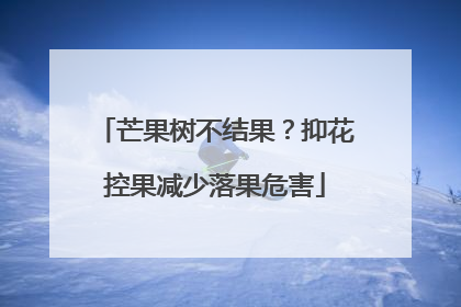 芒果树不结果？抑花控果减少落果危害