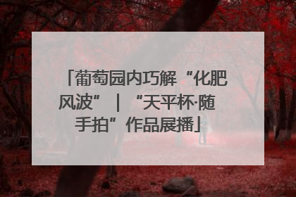 葡萄园内巧解“化肥风波”｜“天平杯·随手拍”作品展播