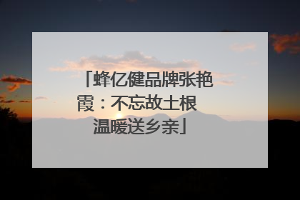 蜂亿健品牌张艳霞：不忘故土根 温暖送乡亲