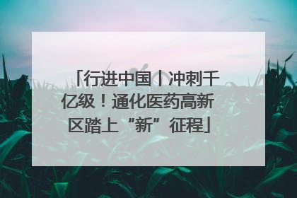行进中国丨冲刺千亿级！通化医药高新区踏上“新”征程