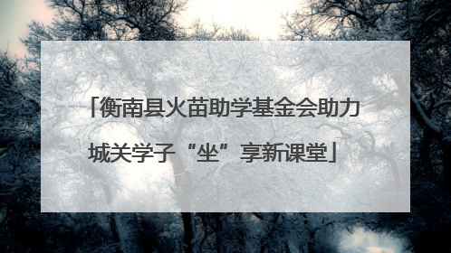 衡南县火苗助学基金会助力城关学子“坐”享新课堂