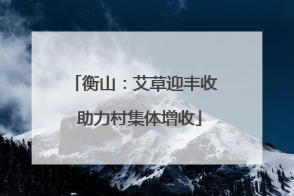 衡山：艾草迎丰收 助力村集体增收