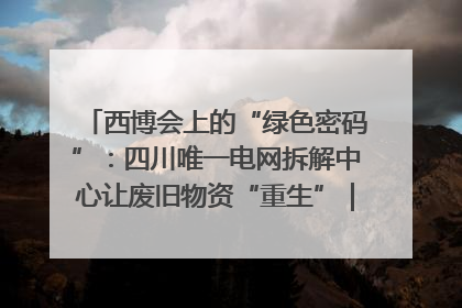 西博会上的“绿色密码”：四川唯一电网拆解中心让废旧物资“重生”｜西博寻“新”记
