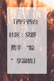 西宁西台社区：党群携手 “粽”享温情