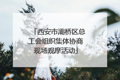 西安市灞桥区总工会组织集体协商现场观摩活动