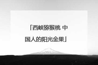 西峡猕猴桃 中国人的阳光金果