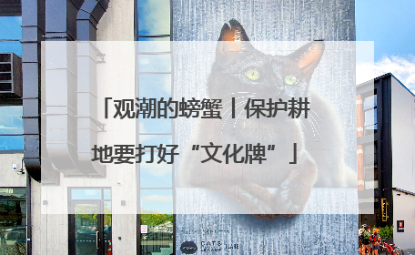 观潮的螃蟹丨保护耕地要打好“文化牌”