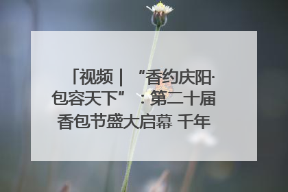 视频｜“香约庆阳·包容天下”：第二十届香包节盛大启幕 千年非遗香飘世界