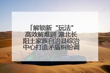解锁新“玩法” 高效解难题 湖北长阳土家族自治县综治中心打造矛盾纠纷调处“终点站”