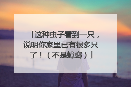 这种虫子看到一只，说明你家里已有很多只了！（不是蟑螂）