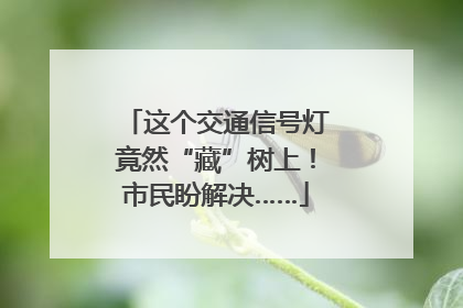 这个交通信号灯竟然“藏”树上！市民盼解决……