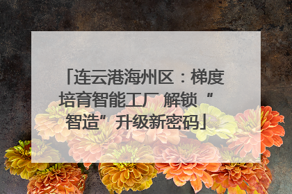 连云港海州区：梯度培育智能工厂 解锁“智造”升级新密码