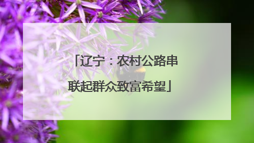 辽宁：农村公路串联起群众致富希望