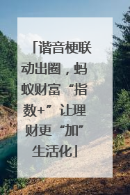 谐音梗联动出圈，蚂蚁财富“指数+”让理财更“加”生活化