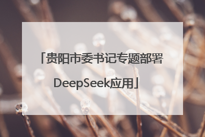 贵阳市委书记专题部署DeepSeek应用