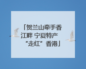 贺兰山牵手香江畔 宁夏特产“走红”香港
