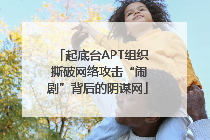 起底台APT组织 撕破网络攻击“闹剧”背后的阴谋网