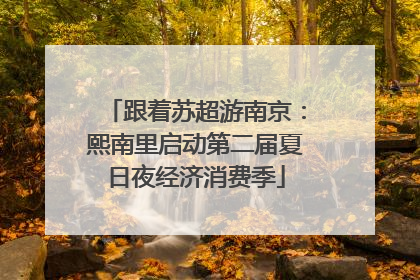 跟着苏超游南京：熙南里启动第二届夏日夜经济消费季