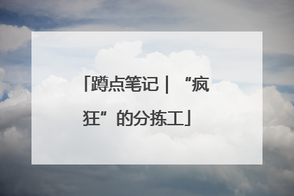蹲点笔记｜“疯狂”的分拣工