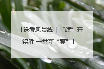 送考风景线｜“旗”开得胜 一举夺“葵”