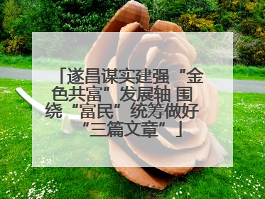遂昌谋实建强“金色共富”发展轴 围绕“富民”统筹做好“三篇文章”