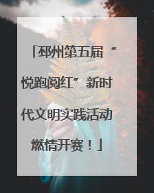 邳州第五届“悦跑阅红”新时代文明实践活动燃情开赛！