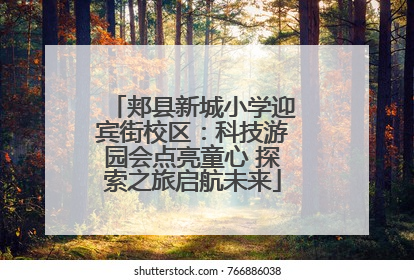 郏县新城小学迎宾街校区：科技游园会点亮童心 探索之旅启航未来