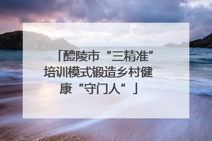 醴陵市“三精准”培训模式锻造乡村健康“守门人”