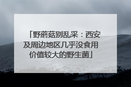 野蘑菇别乱采：西安及周边地区几乎没食用价值较大的野生菌