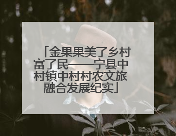 金果果美了乡村富了民——宁县中村镇中村村农文旅融合发展纪实