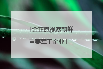 金正恩视察朝鲜重要军工企业
