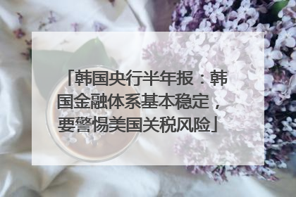 韩国央行半年报：韩国金融体系基本稳定，要警惕美国关税风险