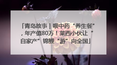 青岛故事｜喂中药“养生餐”，年产值80万！莱西小伙让“自家产”锦鲤“游”向全国