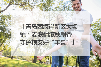 青岛西海岸新区大场镇：麦浪翻滚穗飘香 守护粮安好“丰景”