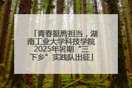 青春挺膺担当，湖南工业大学科技学院2025年暑期“三下乡”实践队出征