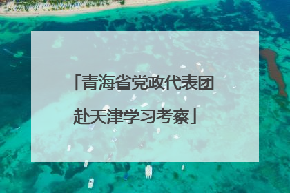 青海省党政代表团赴天津学习考察