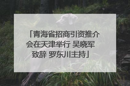 青海省招商引资推介会在天津举行 吴晓军致辞 罗东川主持