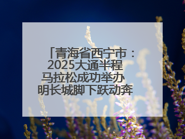 青海省西宁市：2025大通半程马拉松成功举办 明长城脚下跃动奔跑音符