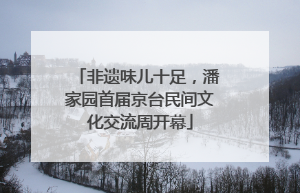 非遗味儿十足，潘家园首届京台民间文化交流周开幕