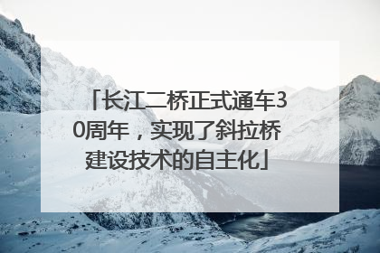 长江二桥正式通车30周年，实现了斜拉桥建设技术的自主化