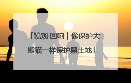 镜观·回响｜像保护大熊猫一样保护黑土地