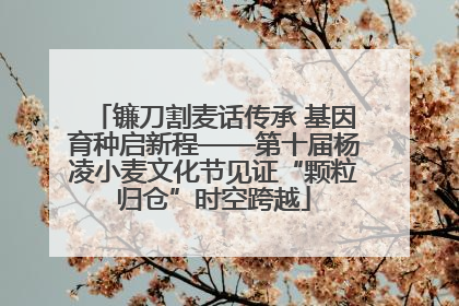 镰刀割麦话传承 基因育种启新程——第十届杨凌小麦文化节见证“颗粒归仓”时空跨越