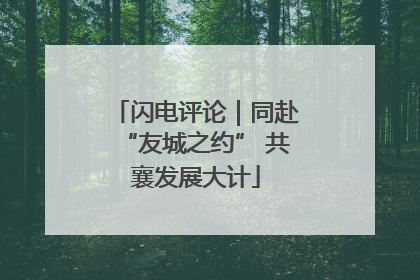 闪电评论｜同赴“友城之约” 共襄发展大计