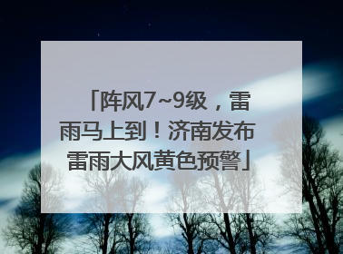 阵风7~9级，雷雨马上到！济南发布雷雨大风黄色预警
